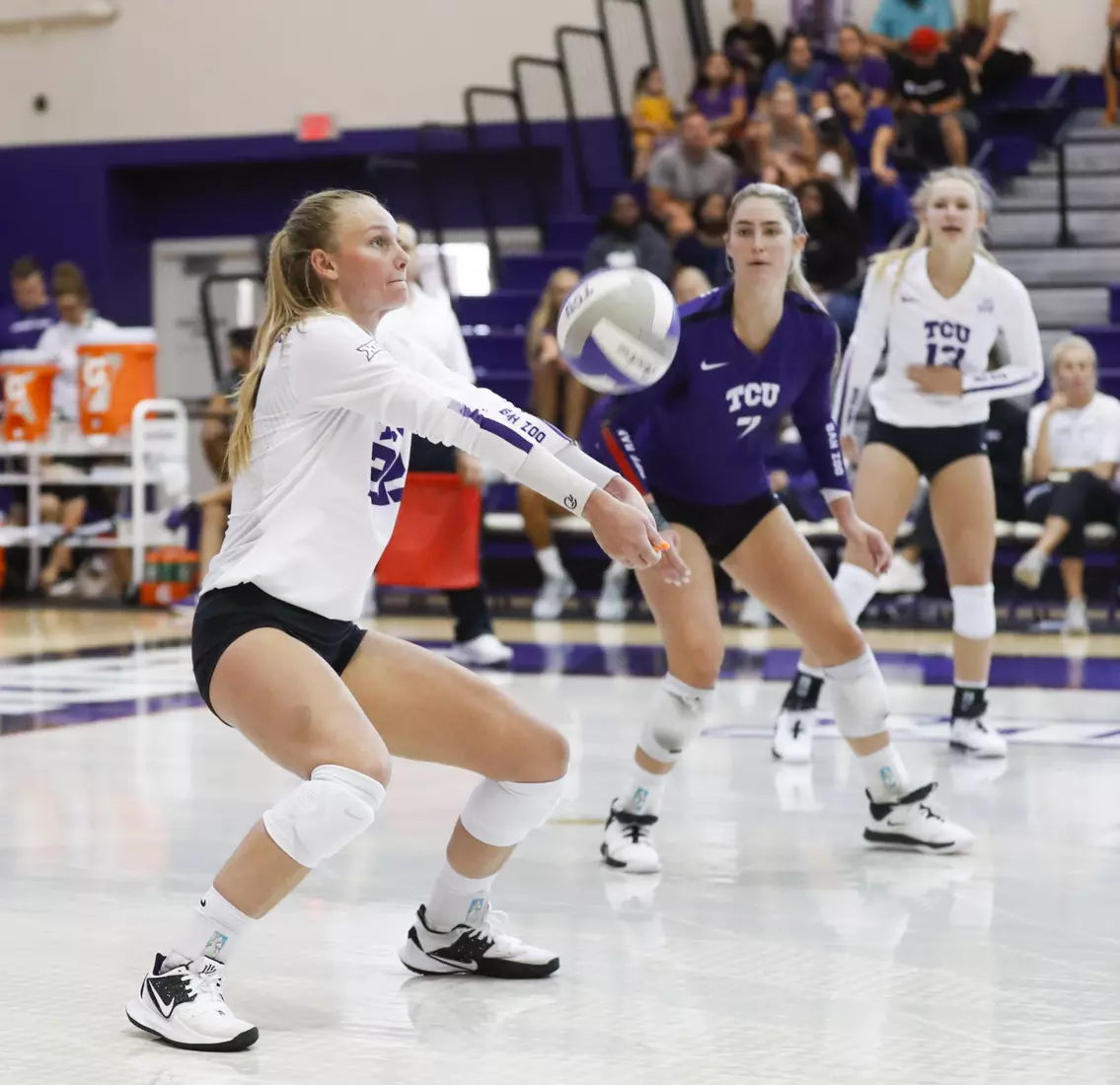 TCU volleyball purple white scrimmage in Fort Worth, Texas on August 24, 2019. (Photo/Sharon Ellman)