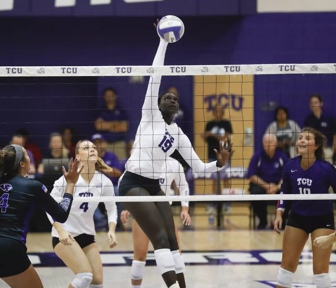 TCU vs High Point University Volleyball in Fort Worth, Texas on August 30, 2019. (Photo/Sharon Ellman)