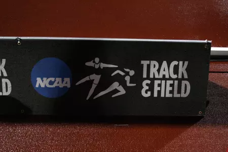 The 2009 NCAA Championships