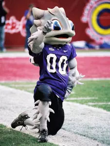 SuperFrog