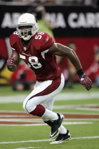 Daryl Washington, who helped TCU post a 12-1 record in 2009, has earned a starting linebacker spot with the Arizona Cardinals as a rookie.