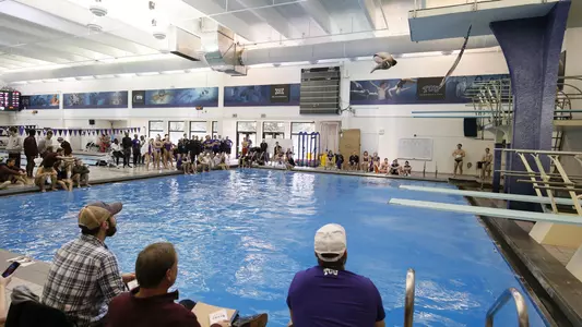 Shurtleff diving