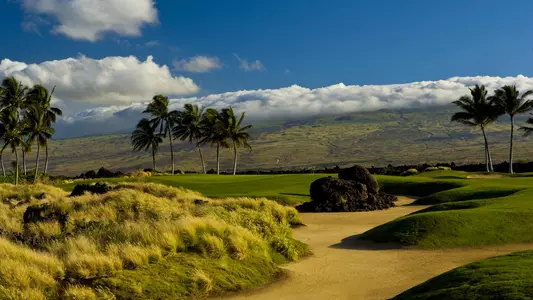 Ameri Ari Invitational