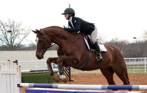 jordyn scelsa on van