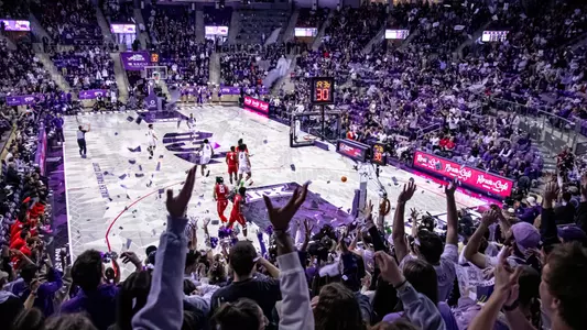 Schollmaier Arena Fans