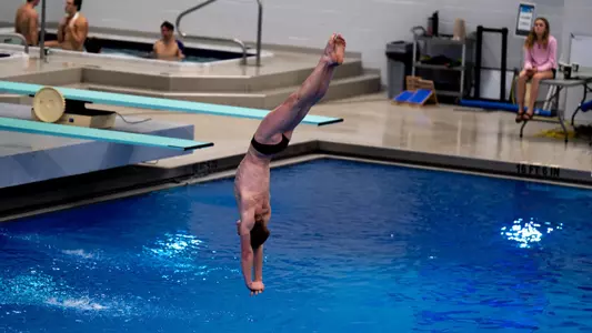 Dive Preview
