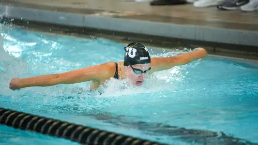 Swimming and Diving Houston Preview