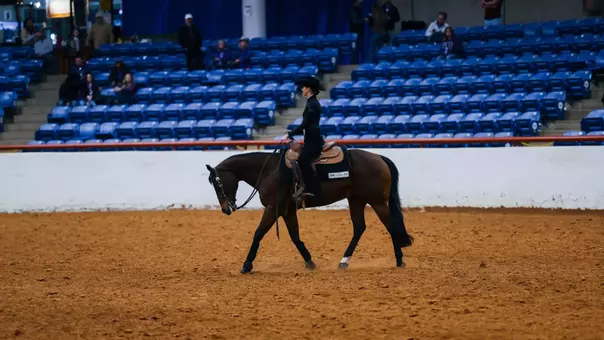 Preview: at No. 6 Oklahoma State