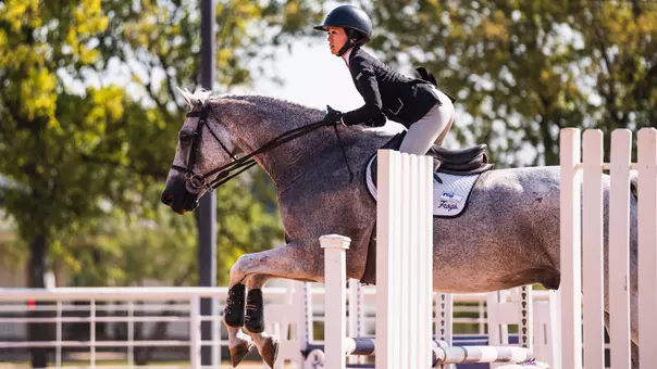 Lily Muzzy jumping fences