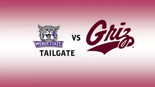 2015 weber tailgate