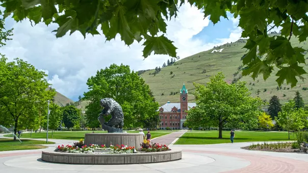 UM campus in summer