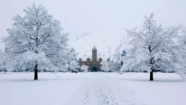 Montana academics
