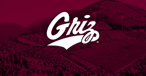 security graphic homepage