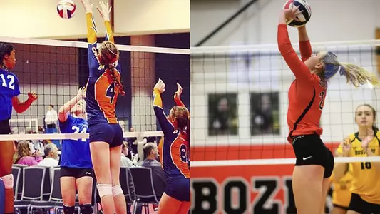 VB signees (November 2017)