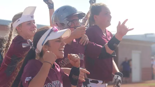 2017 Big Sky softball tournament