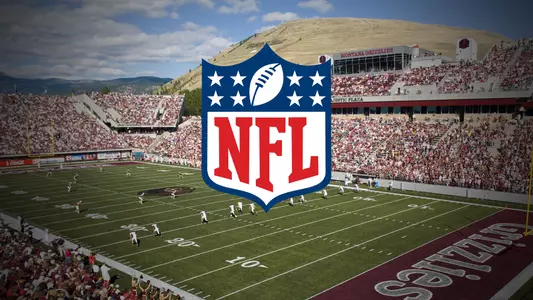 Stadium NFL