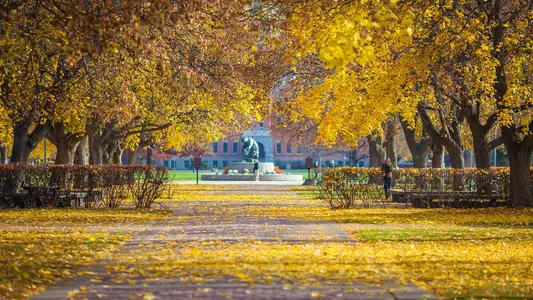 Campus autumn
