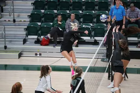 Montana at Portland State