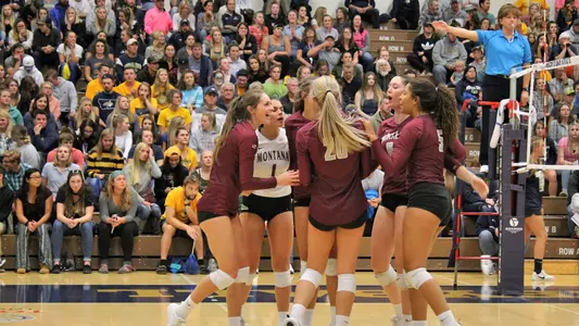 Montana at Montana State