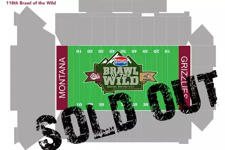 griz cat sold out