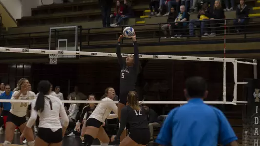 Ashley Watkins at Idaho