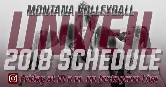 Schedule unveil