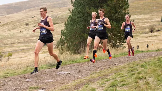 2019 men's cross country
