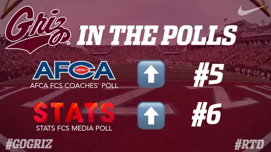 Weekly polls UI