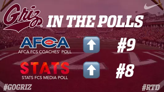 Weekly Polls