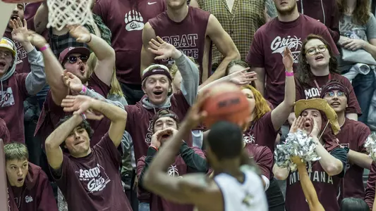 Fans vs. Montana State