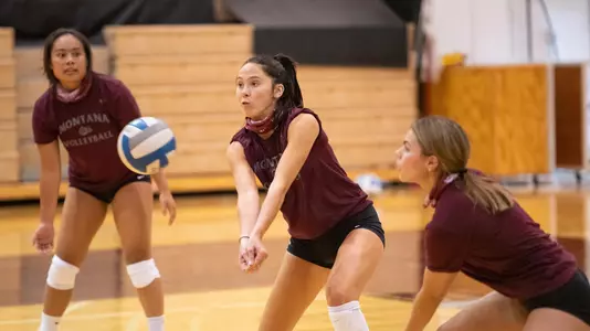 Sophia Meyers practice