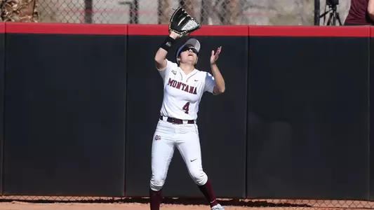 Anne Mari Petrino
