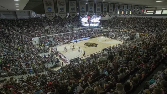 Lady Griz at Dahlberg (Nov 2019)