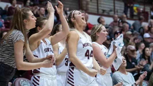 Lady Griz bench