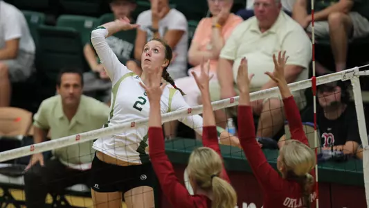 Dana Hallisey_CSU