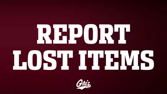 REPORT LOST ITEMS