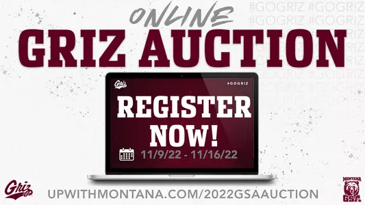 2022 Online Auction