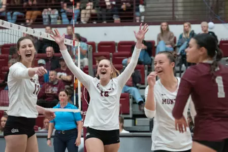 Montana vs. Idaho State - 10/22/22