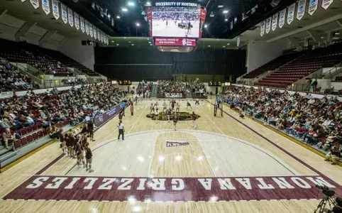 Montana volleyball crowd