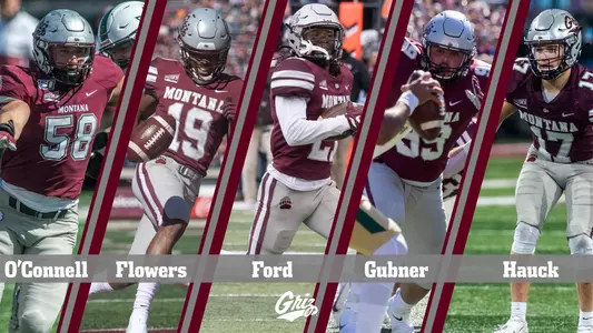 Preseason all-big sky