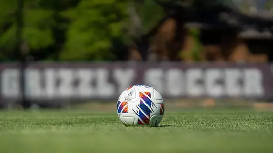 Soccer ball