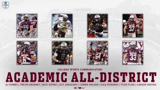 academic all-district