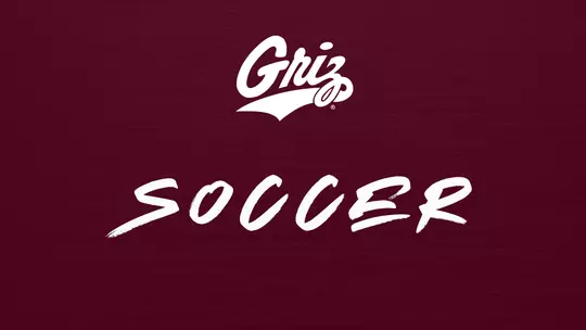 Soccer ticket image