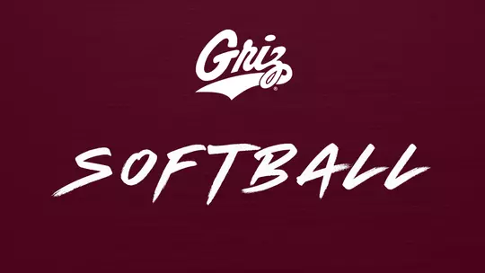 Softball ticket image