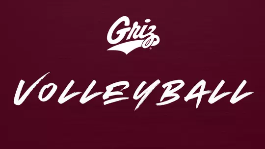 Volleyball ticket image