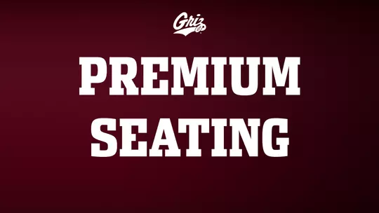Premium Seating
