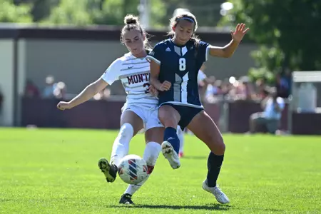 Sydney Haustein