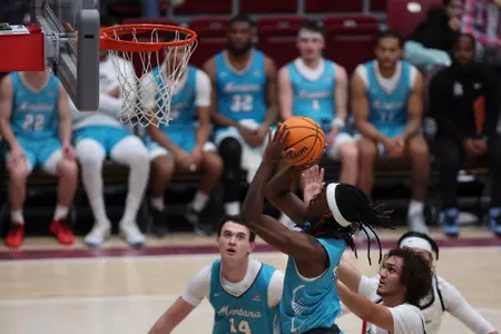 The Montana Grizzly basketball team wins against Northwest Indian Eagle basketball team, 94-44, on November 11, 2024.