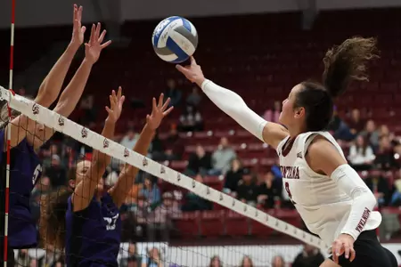 The University of Montana Griz volleyball team loses to Weber State Wildcats, 0-3, on November 2, 2024.