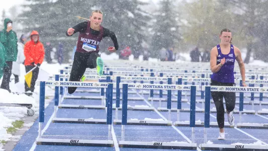 Whitney Morrison